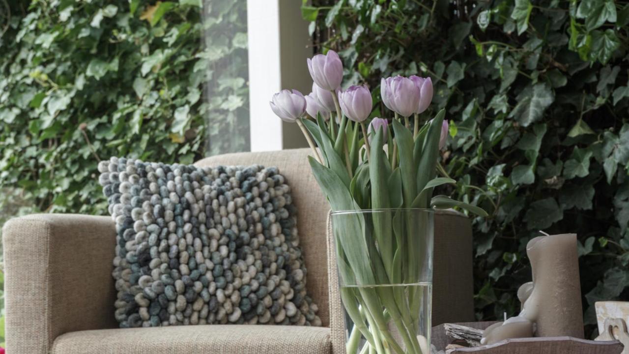 B&B Jardin - Schagen Luaran gambar